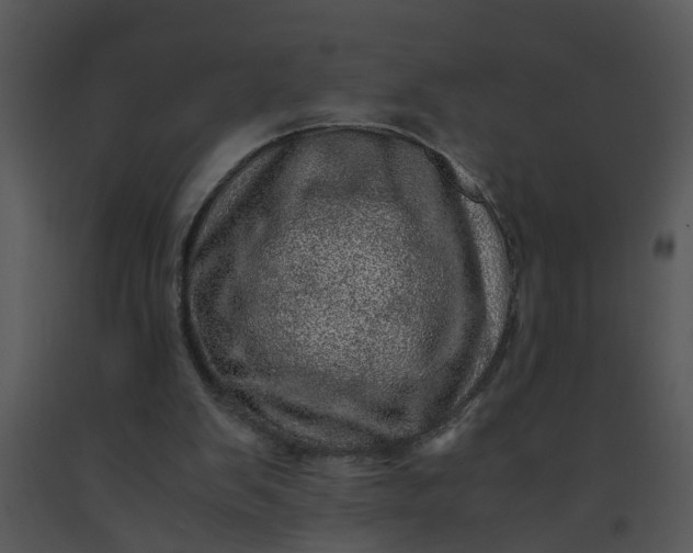 X0000091450103200708301818