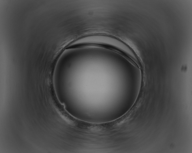 X0000091450105200708301818