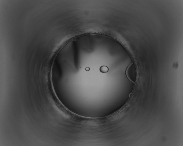 X0000091450106200708301818