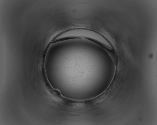 X0000091450107200708301818