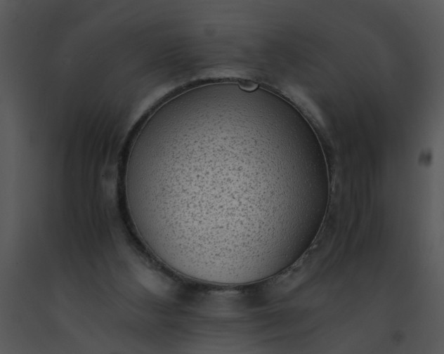 X0000091450108200708301818