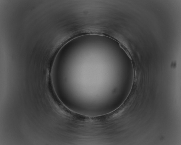 X0000091450109200708301818