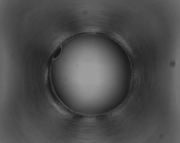 X0000091450110200708301818