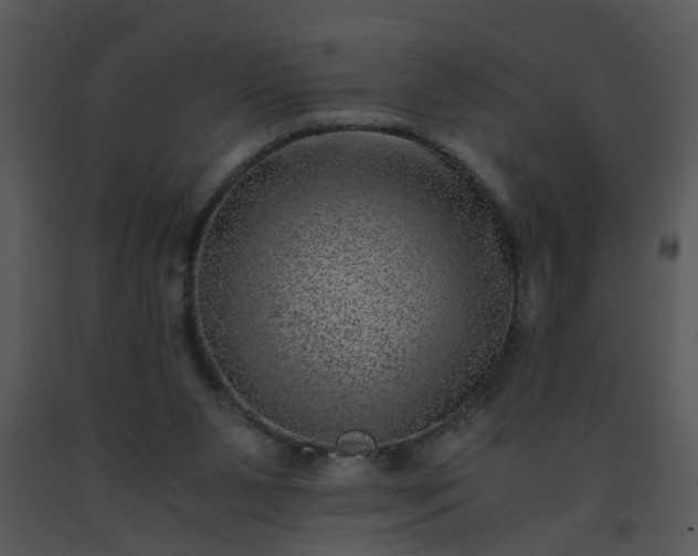 X0000091450111200708301818