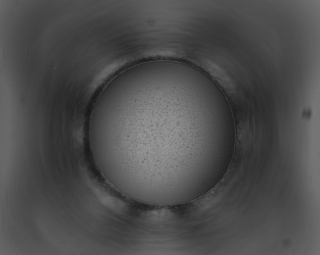 X0000091450112200708301818