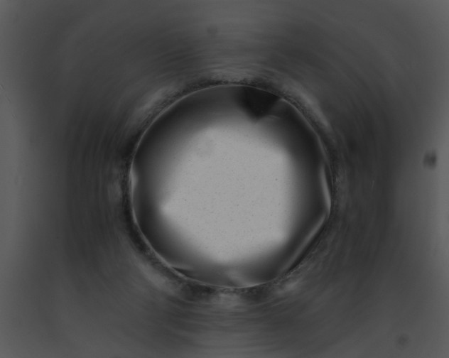 X0000091450114200708301818