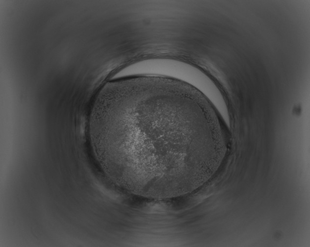 X0000091450115200708301818