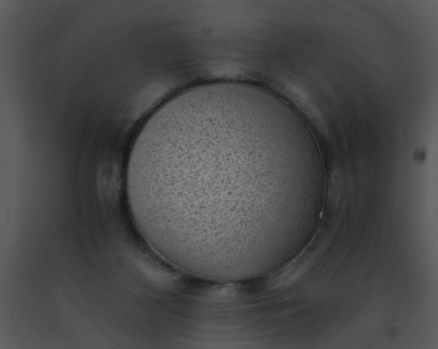 X0000091450116200708301818