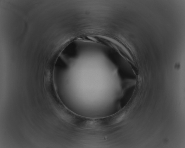 X0000091450117200708301818