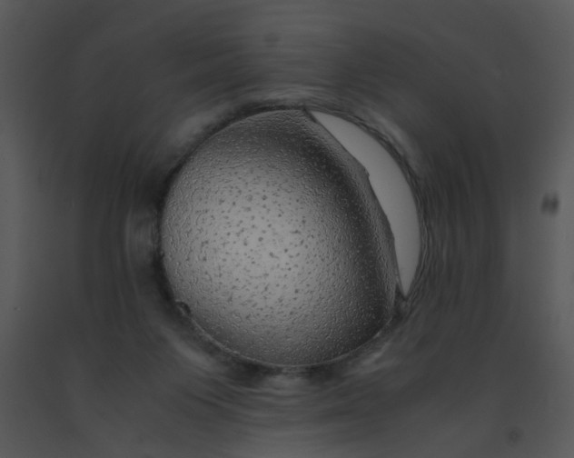 X0000091450119200708301818