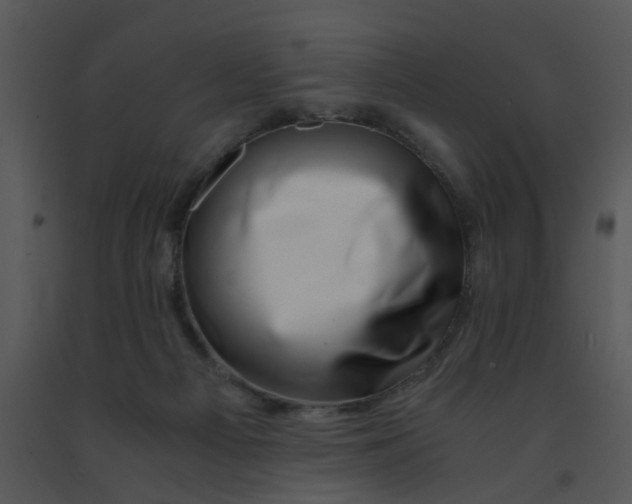 X0000091450121200708301818