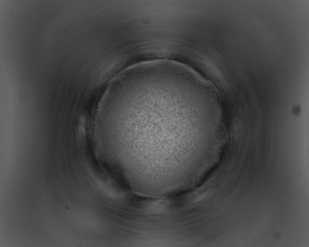 X0000091450122200708301818