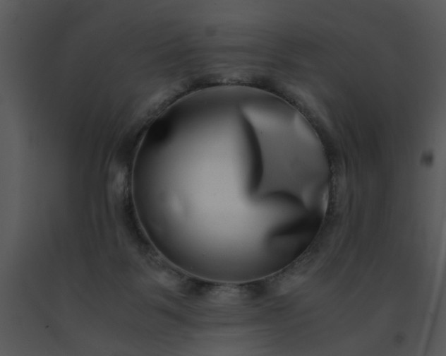 X0000091450123200708301818