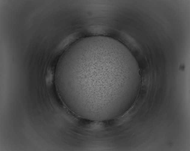 X0000091450124200708301818