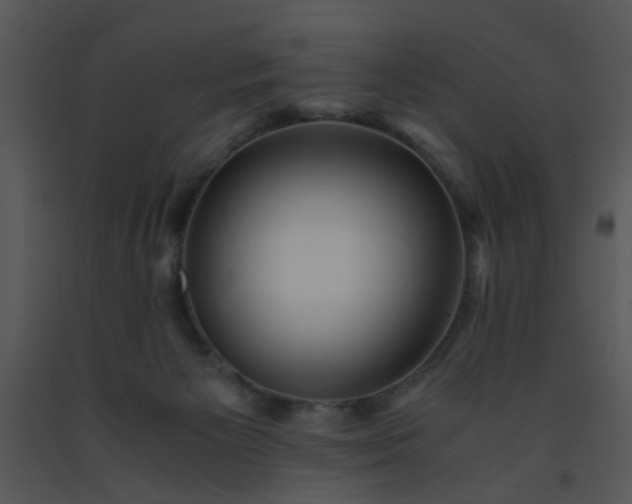 X0000091450125200708301818