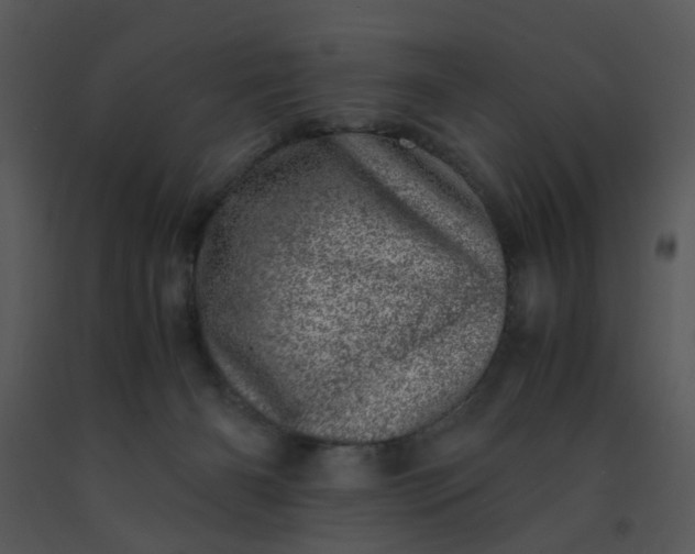 X0000091450126200708301818