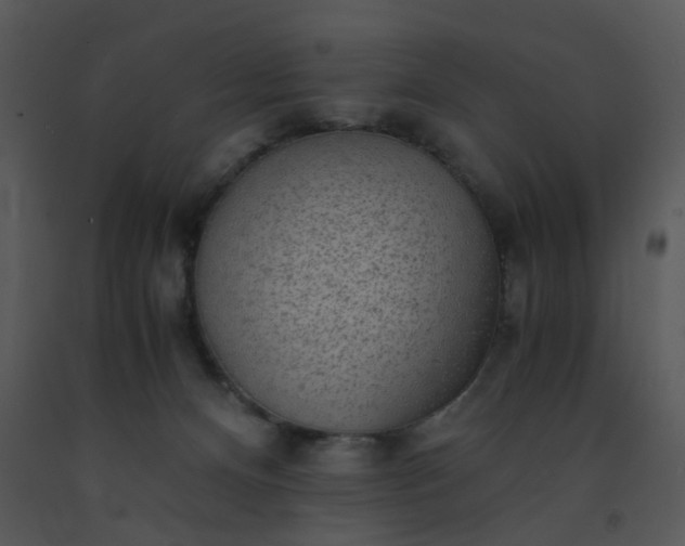 X0000091450128200708301818