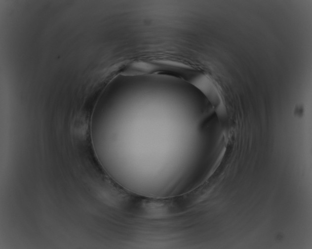 X0000091450129200708301818