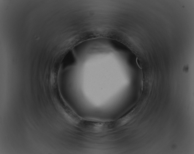 X0000091450130200708301818