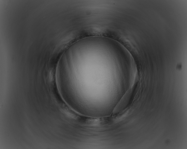 X0000091450131200708301818