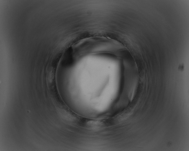 X0000091450133200708301818