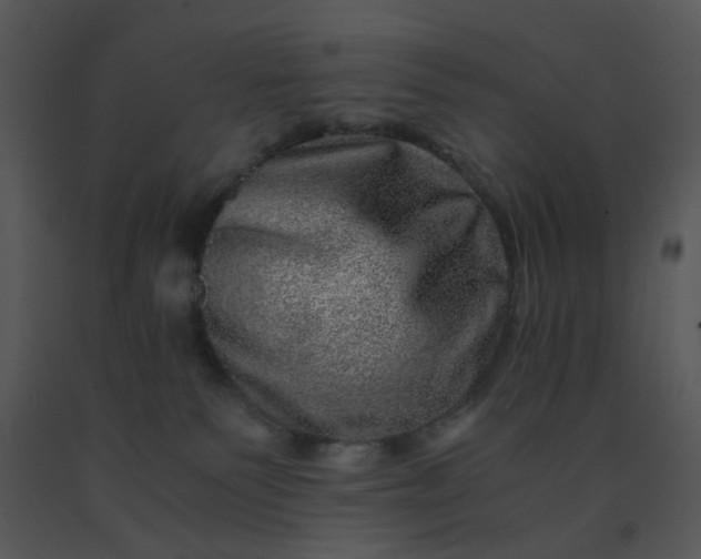 X0000091450135200708301818