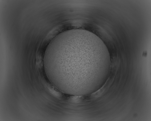 X0000091450136200708301818