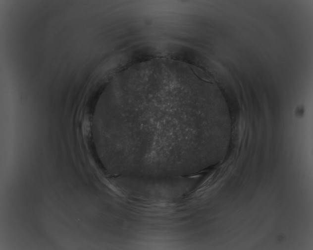 X0000091450137200708301818