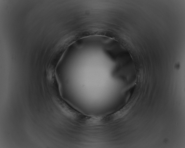 X0000091450138200708301818