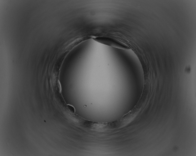 X0000091450139200708301818