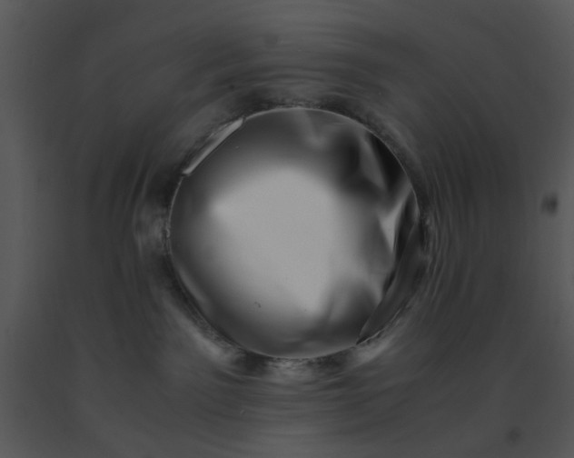 X0000091450141200708301818