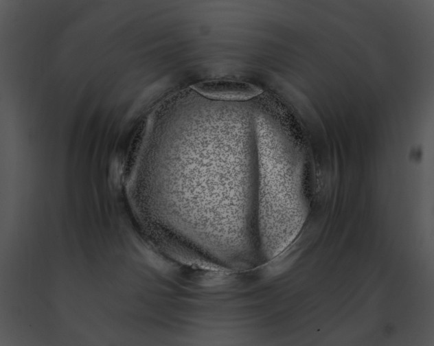 X0000091450142200708301818