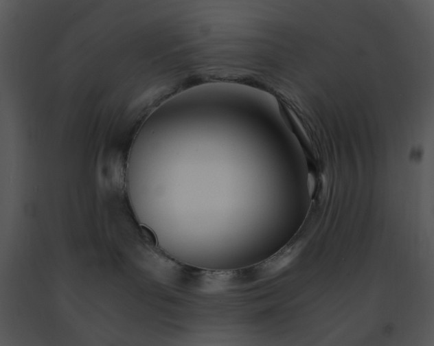 X0000091450143200708301818