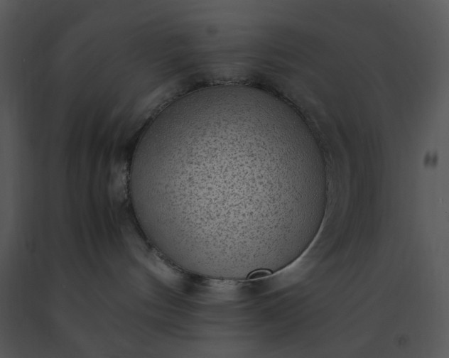 X0000091450144200708301818