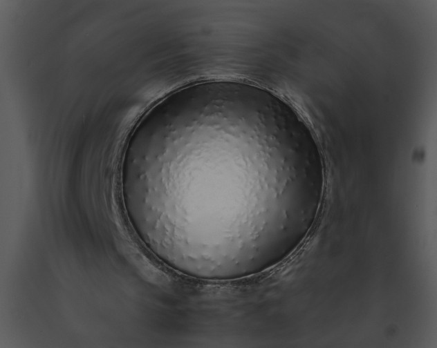 X0000091450145200708301817