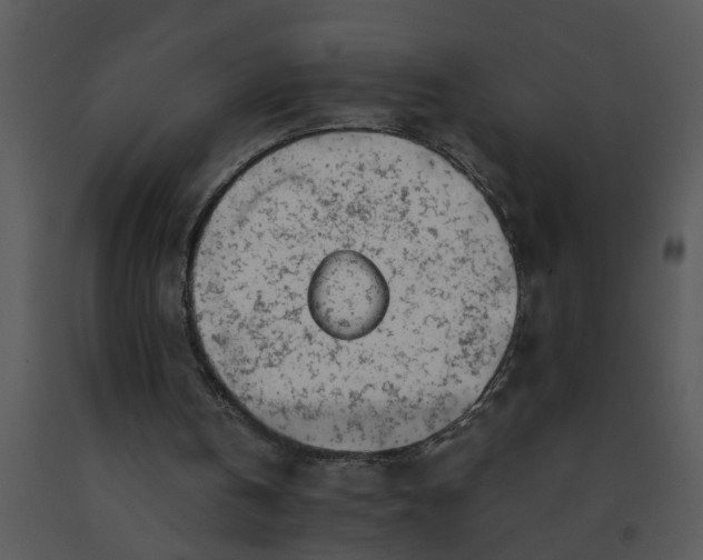 X0000091450146200708301817