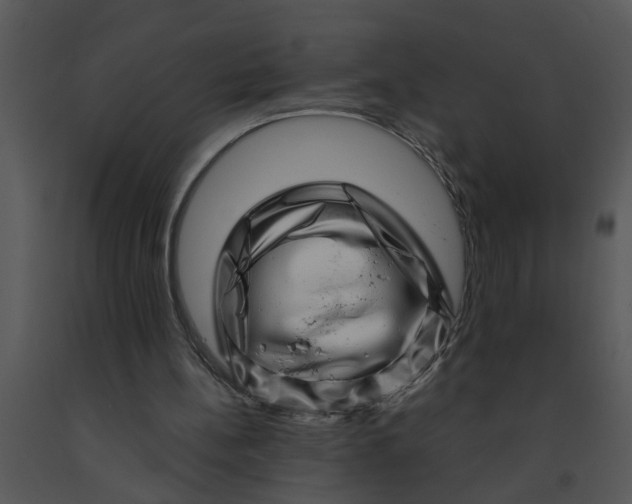 X0000091450148200708301817