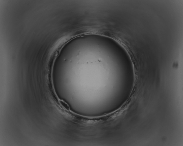 X0000091450149200708301817