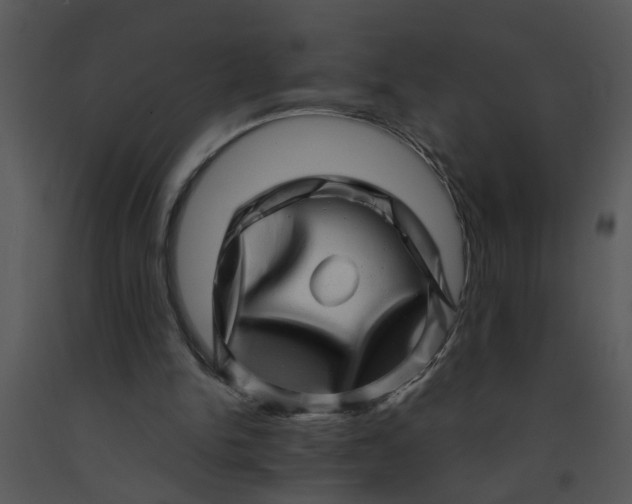 X0000091450150200708301817