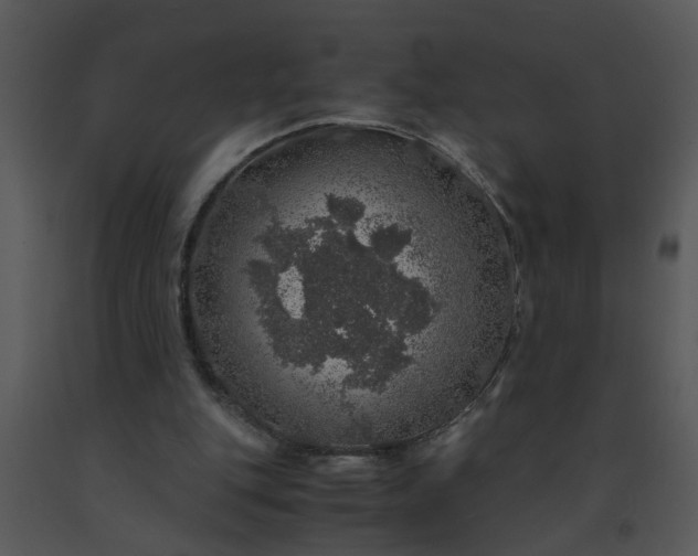X0000091450151200708301817