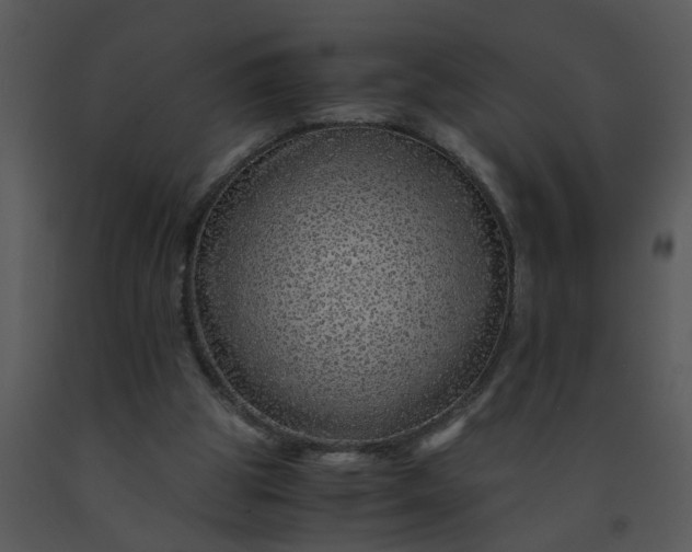 X0000091450153200708301817