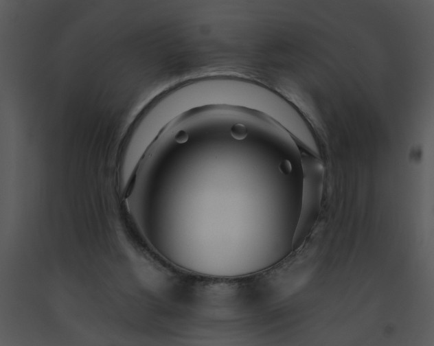 X0000091450156200708301817