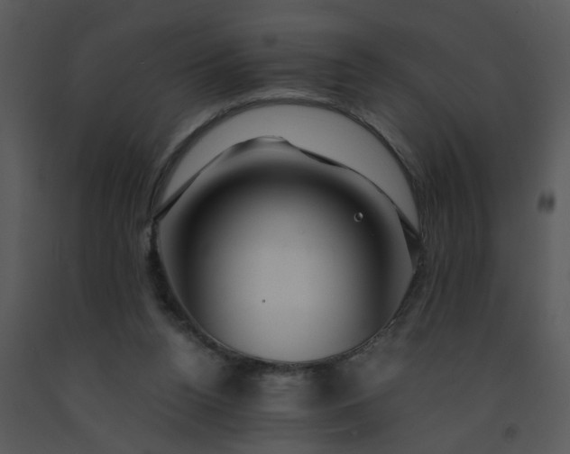 X0000091450160200708301817