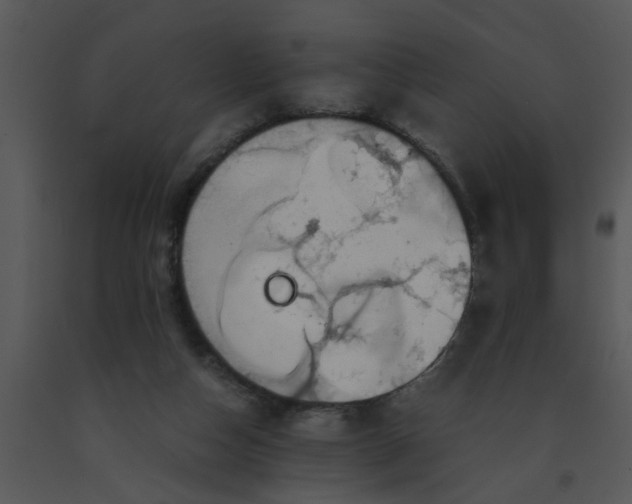 X0000091450162200708301817