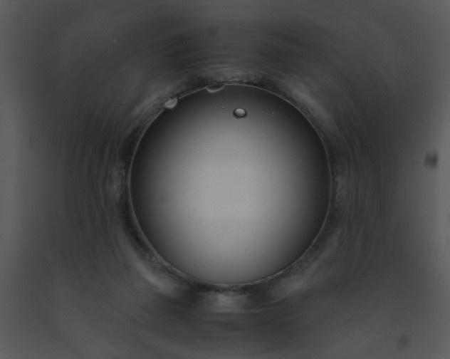 X0000091450165200708301817