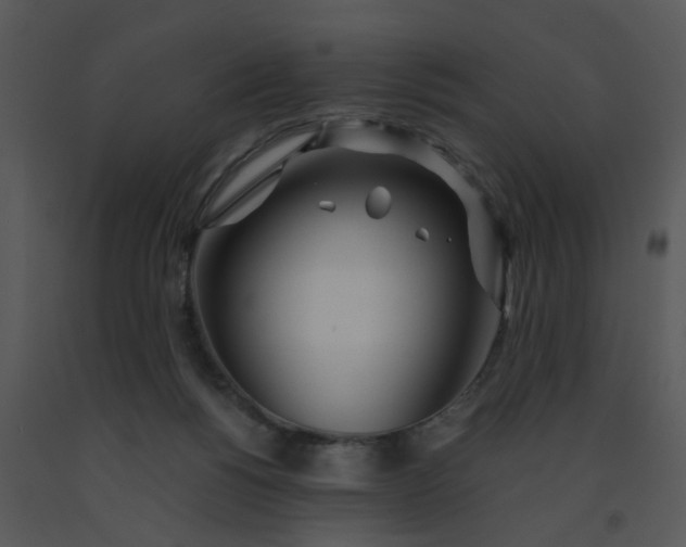 X0000091450168200708301817
