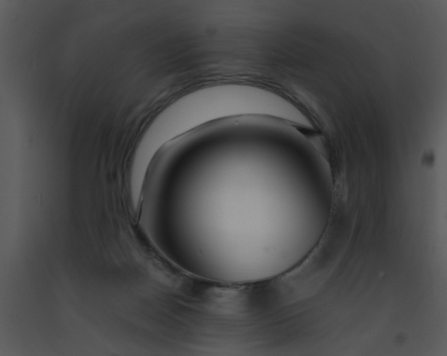 X0000091450170200708301817