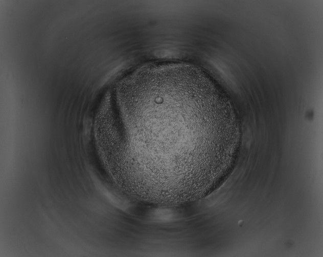 X0000091450171200708301817