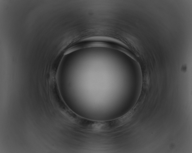 X0000091450172200708301817