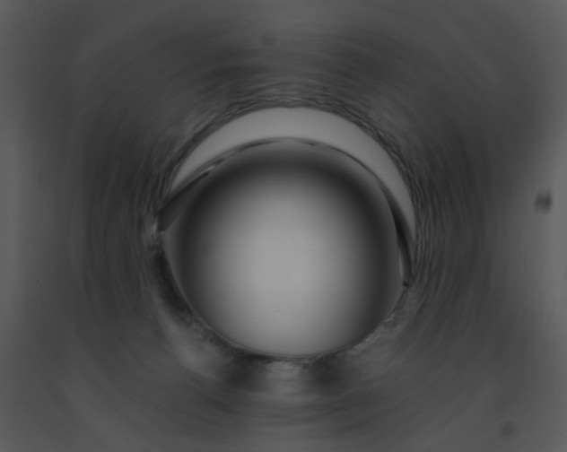 X0000091450176200708301817